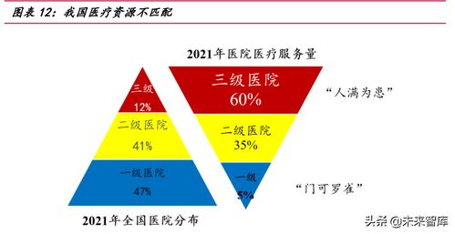 醫療信息化專題報告 需求端、供給端與國際比較分析——聚焦保健信息處理與技術發展